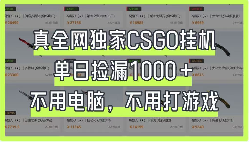 真全网独家CSGO挂机，单日捡漏1000+，不用电脑，不用养号-九零网创