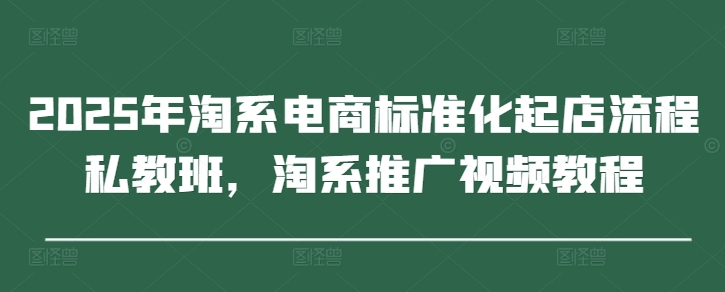 2025年淘系电商标准化起店流程私教班，淘系推广视频教程-九零网创