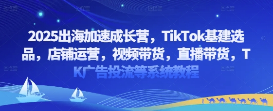2025出海加速成长营，TikTok基建选品，店铺运营，视频带货，直播带货，TK广告投流等系统教程-九零网创