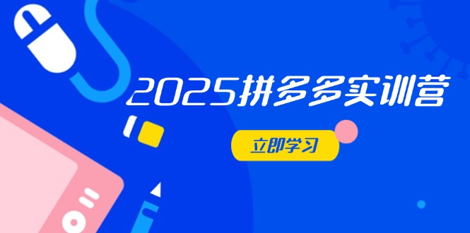 2025拼多多实训营：深度剖析运营关键，助力电商人快速提升-九零网创