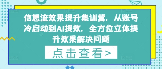 信息流效果提升集训营，从账号冷启动到AI提效，全方位立体提升效果解决问题-九零网创