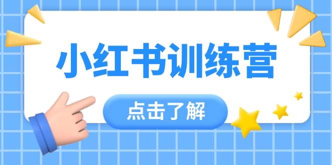 小红书训练营，助小白入门，掌握技巧变达人，课程实操又全面(12节课)-九零网创