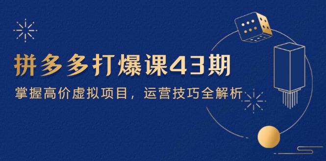 拼多多打爆课第 43 期，掌握高价虚拟项目，运营技巧全解析(15节-九零网创