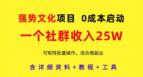 强势文化项目，一个社群收入25个W，0成本启动，可矩阵批量操作，原创详细实操教程-九零网创