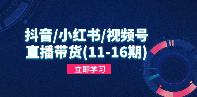 抖音/小红书/视频号/直播带货(11-16期-九零网创