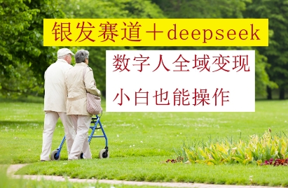 银发赛道+deepseek数字人全域变现，小白也能操作-九零网创