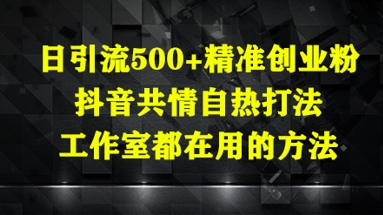 日引流500+精准创业粉，抖音共情自热打法，工作室都在用的方法-九零网创