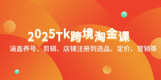 2025Tk跨境淘金课：涵盖养号、剪辑、店铺注册到选品、定价、营销等-九零网创