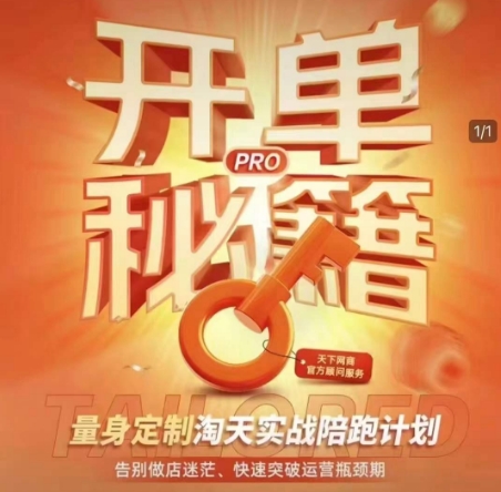 淘宝开单秘籍PRO，量身定制淘天实战陪跑计划，告别做店迷茫、快速突破运营瓶颈期(更新)-九零网创