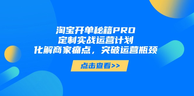 淘宝开单秘籍PRO，定制实战运营计划，化解商家痛点，突破运营瓶颈-九零网创
