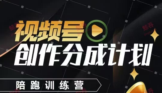 视频号创作分成计划陪跑训练营，手把手教会你如何制作视频，细水长流型项目-九零网创