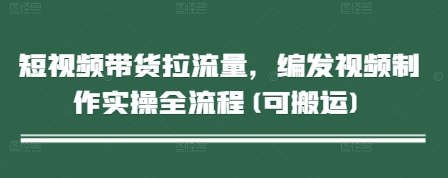 短视频带货拉流量，编发视频制作实操全流程(可搬运)-九零网创
