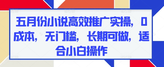五月份小说高效推广实操，0成本，无门槛，长期可做，适合小白操作-九零网创