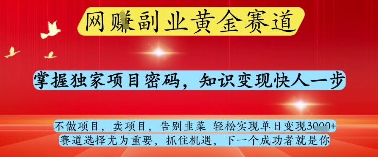 网创副业黄全赛道，掌握独家项目密码，知识变现快人一步，告别韭菜轻松实现单日变现1k+【揭秘】-九零网创