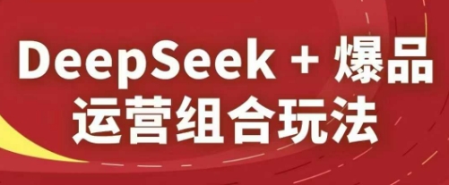 DeepSeek+爆品运营组合玩法，2025淘系精品课-九零网创