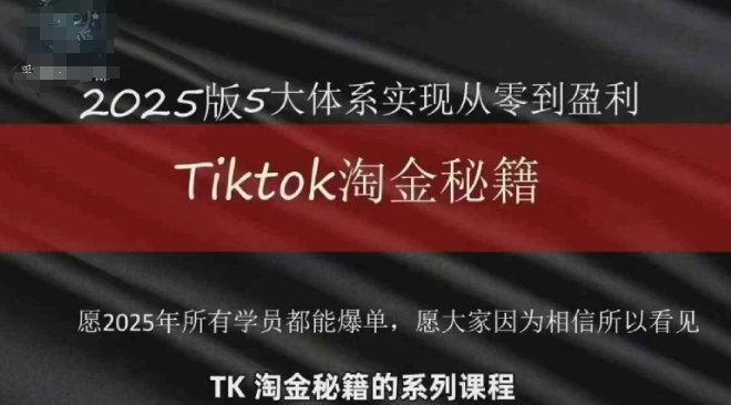 TikTok跨境2025淘金秘籍，​2025TikTok从0到盈利变现-九零网创