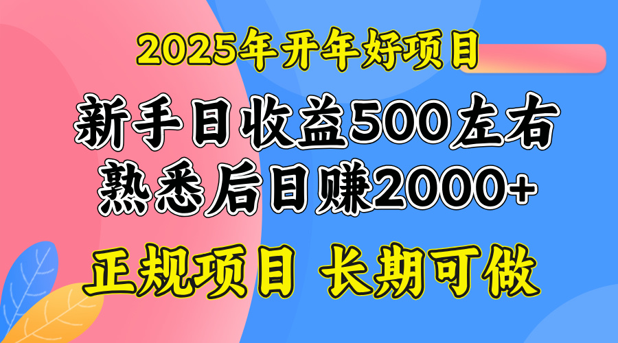 2025开年好项目，单号日收益2000左右-九零网创
