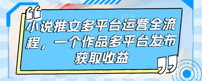 小说推文多平台运营全流程，一个作品多平台发布获取收益-九零网创