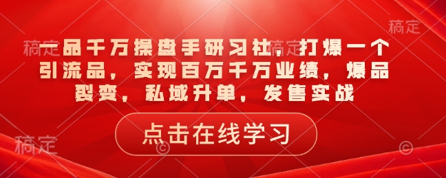 一品千万操盘手研习社，打爆一个引流品，实现百万千万业绩，爆品裂变，私域升单，发售实战-九零网创