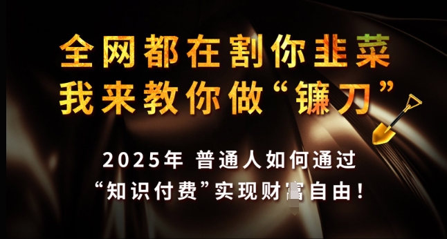 全网都在割你韭菜，我来教你做镰刀，2025年普通人如何通过 知识付费 实现财F自由【揭秘】-九零网创