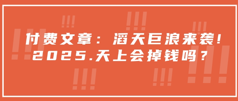付费文章：滔天巨浪来袭！2025天上会掉钱吗？-九零网创