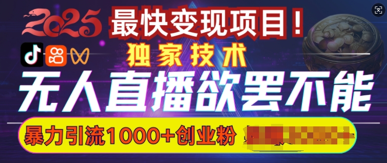 欲罢不能的无人直播引流，超暴力日引流1000+高质量精准创业粉-九零网创