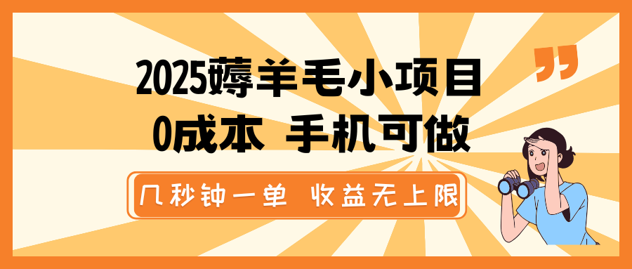 2025薅羊毛小项目，0成本 手机可做，几秒钟一单，收益无上限-九零网创