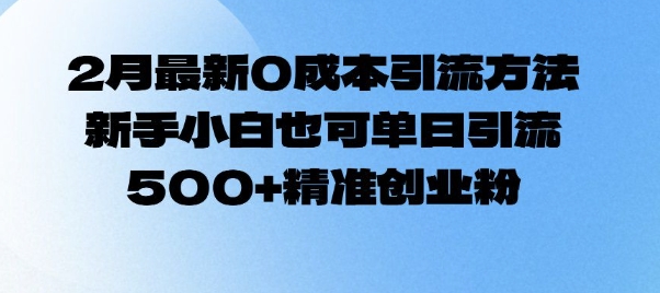 2月最新0成本引流方法，新手小白也可单日引流500+精准创业粉-九零网创