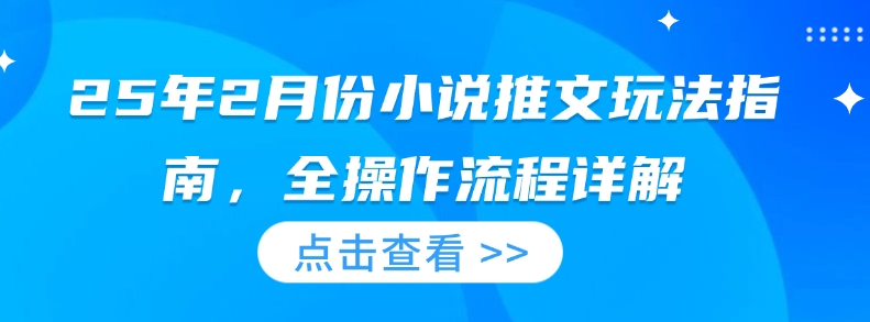 25年2月份小说推文玩法指南，全操作流程详解-九零网创