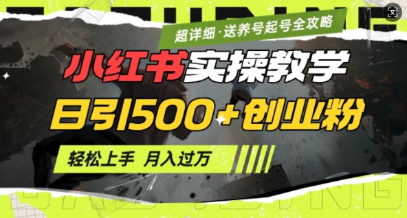 2月小红书最新日引500+创业粉实操教学【超详细】小白轻松上手，月入1W+，附小红书养号起号SOP-九零网创