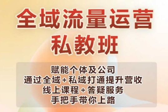 全域流量运营操盘课，赋能个体及公司通过全域+私域打通提升营收-九零网创