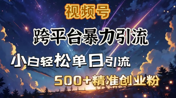 跨平台暴力引流，私域完美闭环，日引500+精准创业粉-九零网创