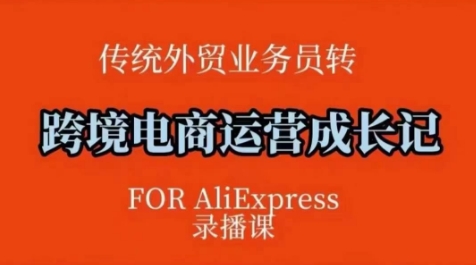 跨境电商速卖通运营课，​运营方法论+后台实操，逻辑清晰-九零网创