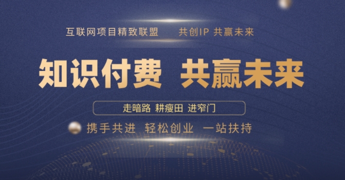 别人苦寻无果，为何他们靠知识付费卖项目 2025 年轻松年入100个?【揭秘】-九零网创