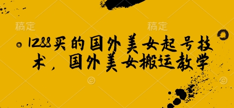 1288买的国外美女起号技术，国外美女搬运教学-九零网创