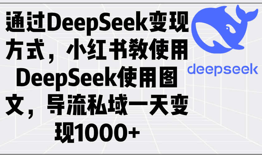 通过DeepSeek变现方式，小红书教使用DeepSeek图文，导流私域一天变现1000+-九零网创
