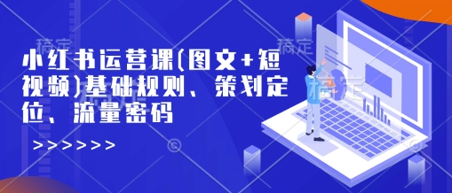 小红书运营课(图文+短视频)基础规则、策划定位、流量密码-九零网创