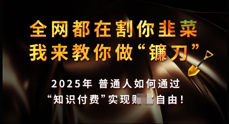知识付费如何做到月入过W+，2025我来教你做“镰刀”【揭秘】-九零网创