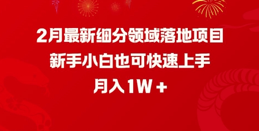 2月最新细分领域落地项目，新手小白也可快速上手，月入1W-九零网创
