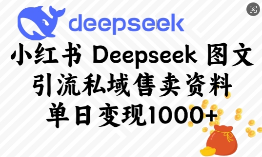 小红书Deepseek图文引流私域售卖资料，单日变现多张-九零网创