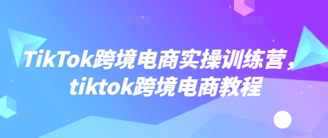 TikTok跨境电商实操训练营，tiktok跨境电商教程-九零网创