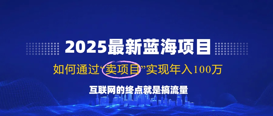 2025最新蓝海项目，零门槛轻松复制，月入10万+，新手也能操作！-九零网创