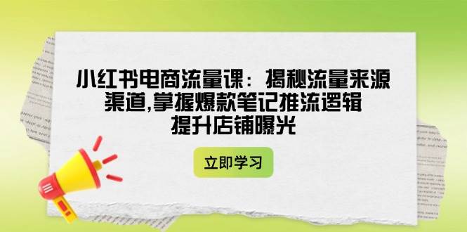 小红书电商流量课：揭秘流量来源渠道,掌握爆款笔记推流逻辑,提升店铺曝光-九零网创