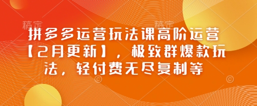 拼多多运营玩法课高阶运营【2月更新】，极致群爆款玩法，轻付费无尽复制等-九零网创