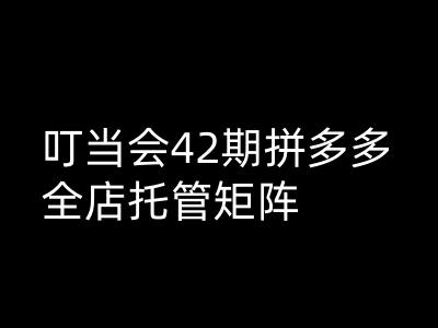 叮当会拼多多打爆班原创高阶技术第42期，拼多多全店托管矩阵-九零网创