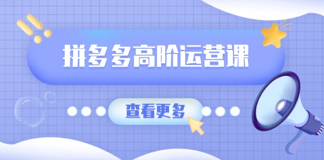 拼多多高阶运营课：极致群爆款玩法，轻付费无尽复制，打造单品爆款之路-九零网创