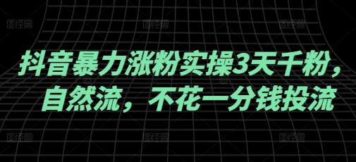 抖音暴力涨粉实操3天千粉，自然流，不花一分钱投流，实操经验分享-九零网创