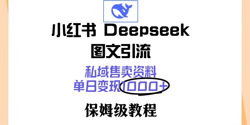 小红书 Deepseek 图文引流，私域售卖资料，单日变现1000+，保姆级教程-九零网创
