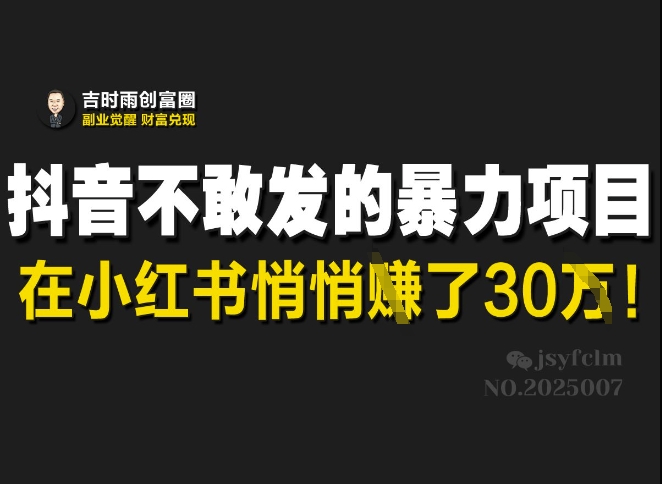 抖音不敢发的暴利项目，在小红书悄悄挣了30W-九零网创