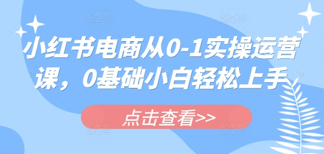 小红书电商从0-1实操运营课，0基础小白轻松上手-九零网创
